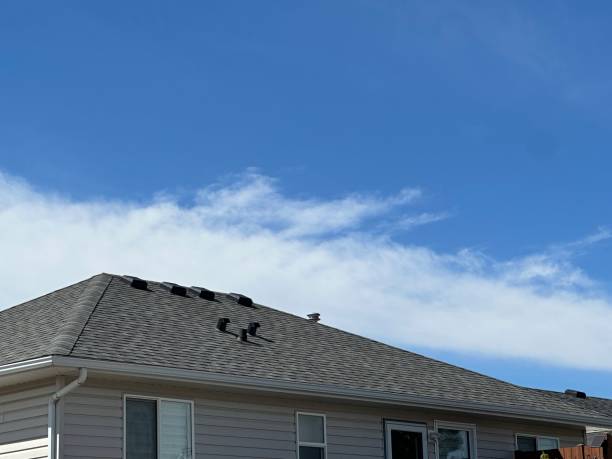 Best Roof Maintenance and Cleaning  in Peekskill, NY